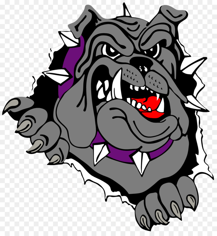 Bulldog Pit bull Logo Clip art - Bulldog Logo Vector png download - 2513*2700 - Free Transparent  png Download.