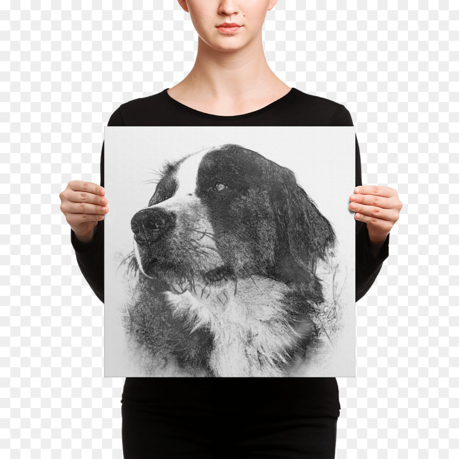 French Bulldog Canvas print Puppy - puppy png download - 1000*1000 - Free Transparent  Bulldog png Download.