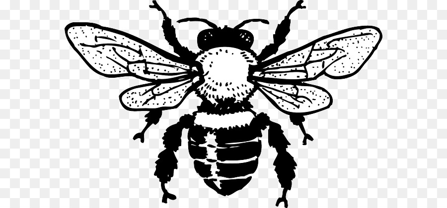 European dark bee Honey bee Clip art - Bee Silhouette Cliparts png download - 640*420 - Free Transparent European Dark Bee png Download.