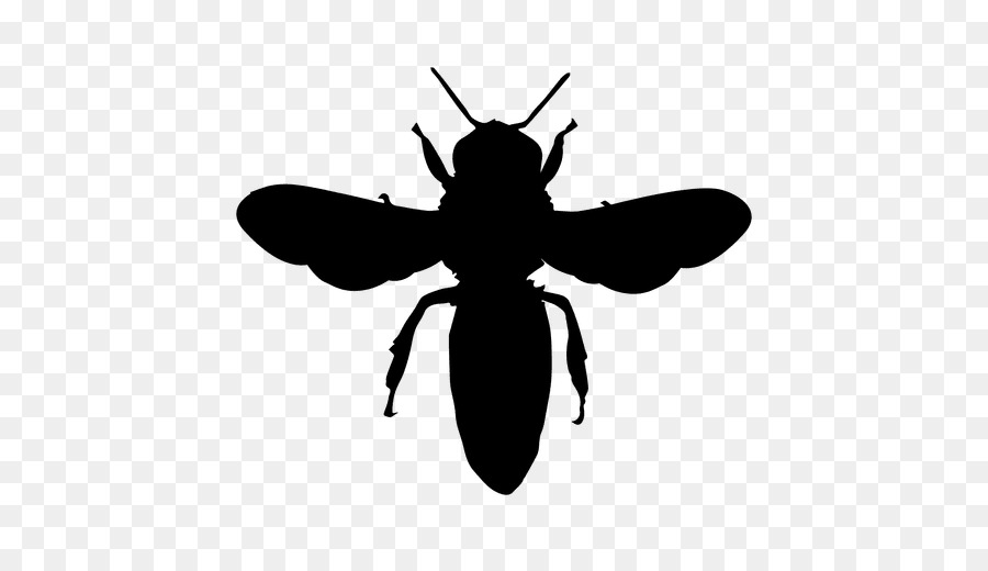 European dark bee Silhouette Honey bee Bumblebee - bees vector png download - 512*512 - Free Transparent Bee png Download.