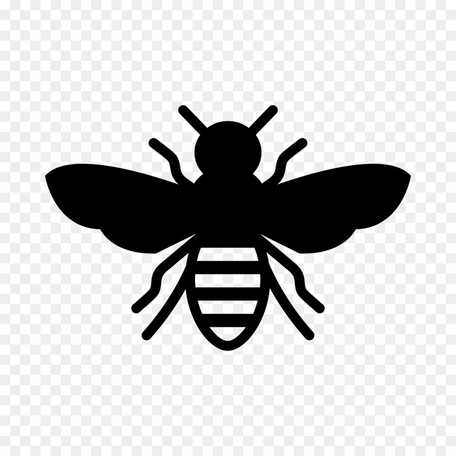 European dark bee Insect Stencil Honey bee - bees png download - 900*900 - Free Transparent Bee png Download.