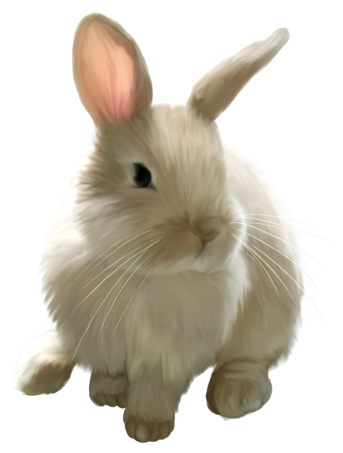 Easter Bunny Rabbit Clip art - Cute Painted Bunny PNG Picture Clipart