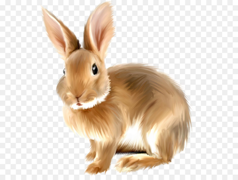 Angora rabbit Clip art - Painted Bunny Clipart.png png download - 600*671 - Free Transparent Angora Rabbit png Download.