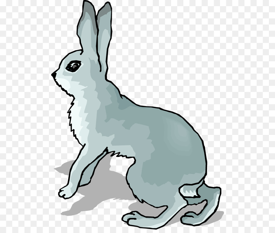 Arctic hare Snowshoe hare European hare Clip art - hare png download - 566*750 - Free Transparent Arctic Hare png Download.