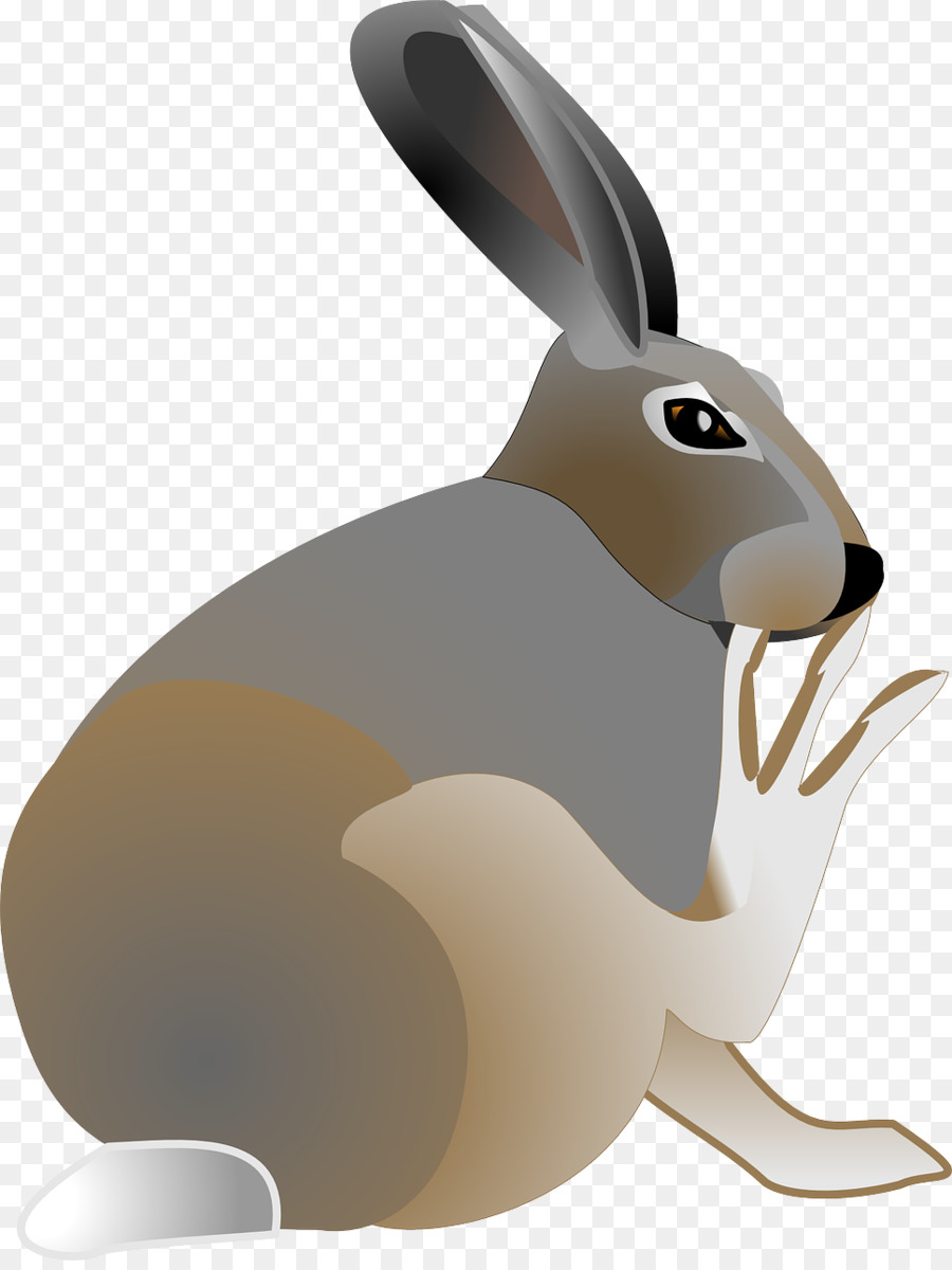 Easter Bunny Arctic hare Clip art - Watching Rabbit png download - 967*1280 - Free Transparent Easter Bunny png Download.