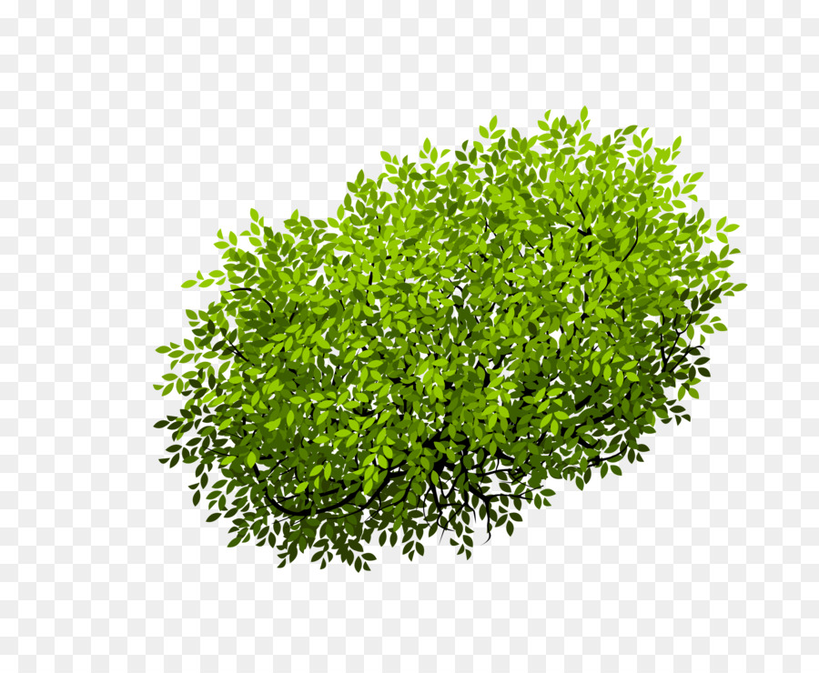 Euclidean vector Shrub Tree - Bush png download - 3982*3196 - Free Transparent Matorral png Download.