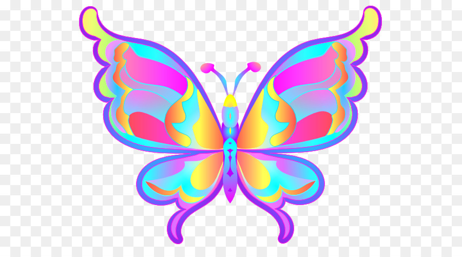 Butterfly Animation Clip art - butterfly png download - 605*486 - Free Transparent Butterfly png Download.