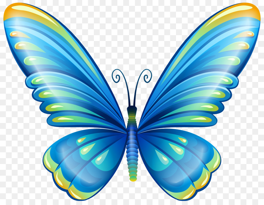 Butterfly Clip art - butterfly watercolor png download - 7679*5932 - Free Transparent Butterfly png Download.