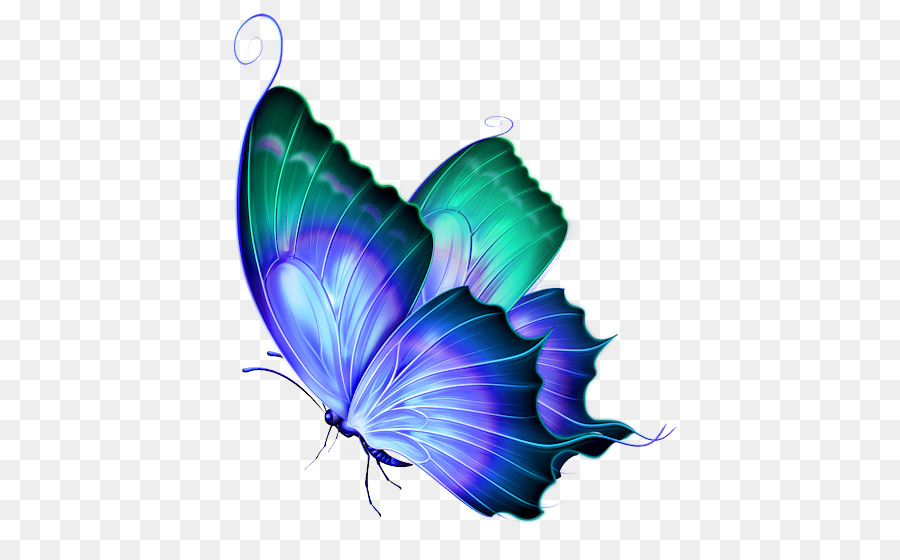 Butterfly Greta oto Clip art - Finalist Cliparts png download - 472*554 - Free Transparent Butterfly png Download.