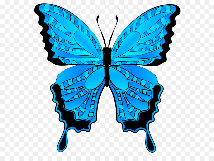 Butterfly Morpho menelaus Clip art - Butterfly Clip Art png download - 6117*6224 - Free Transparent Butterfly png Download.