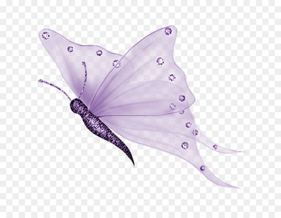 Glasswing butterfly Portable Network Graphics Clip art Insect - butterfly transparent png download - 800*687 - Free Transparent Butterfly png Download.