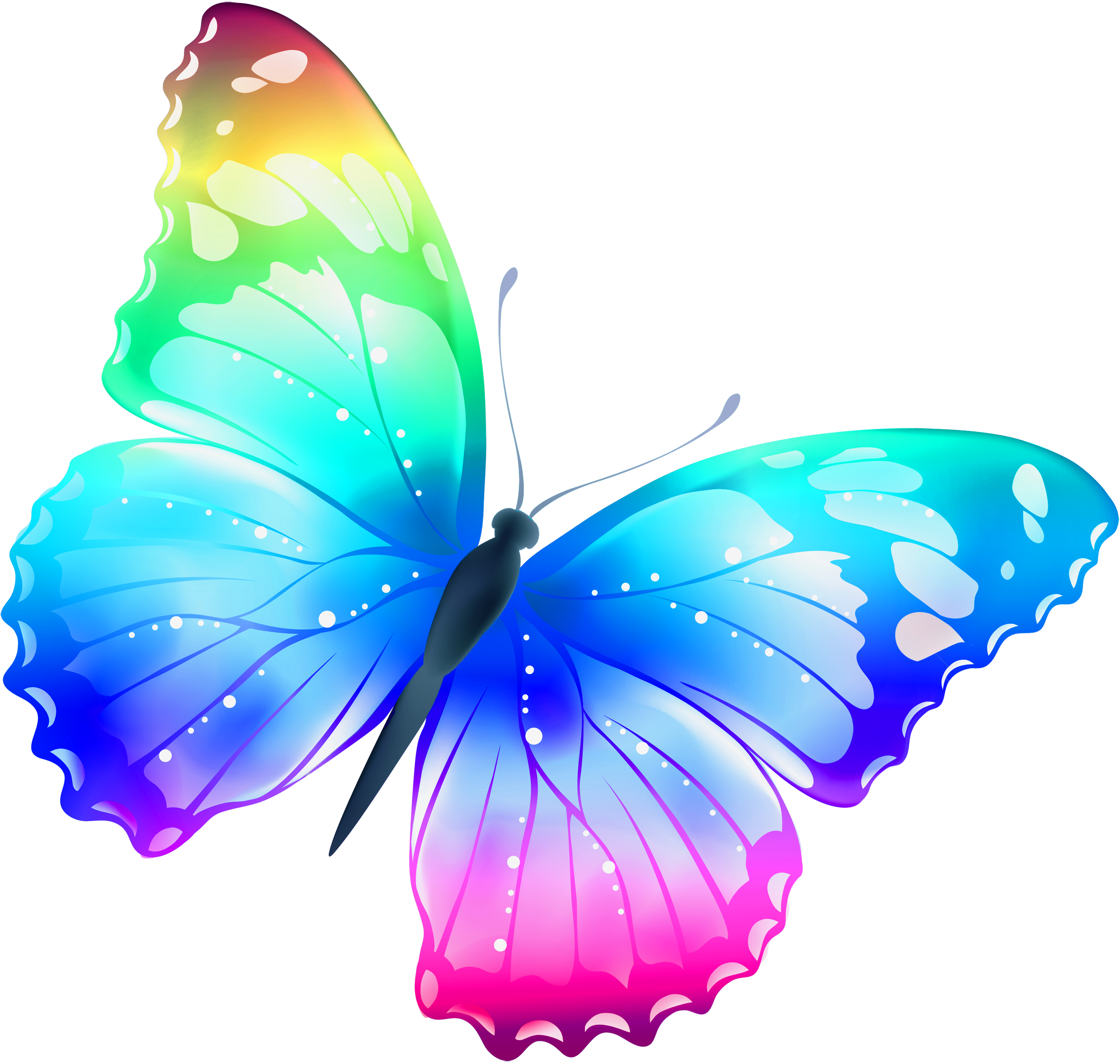 Butterfly Clip Art Large Transparent Multi Color Butterfly Png