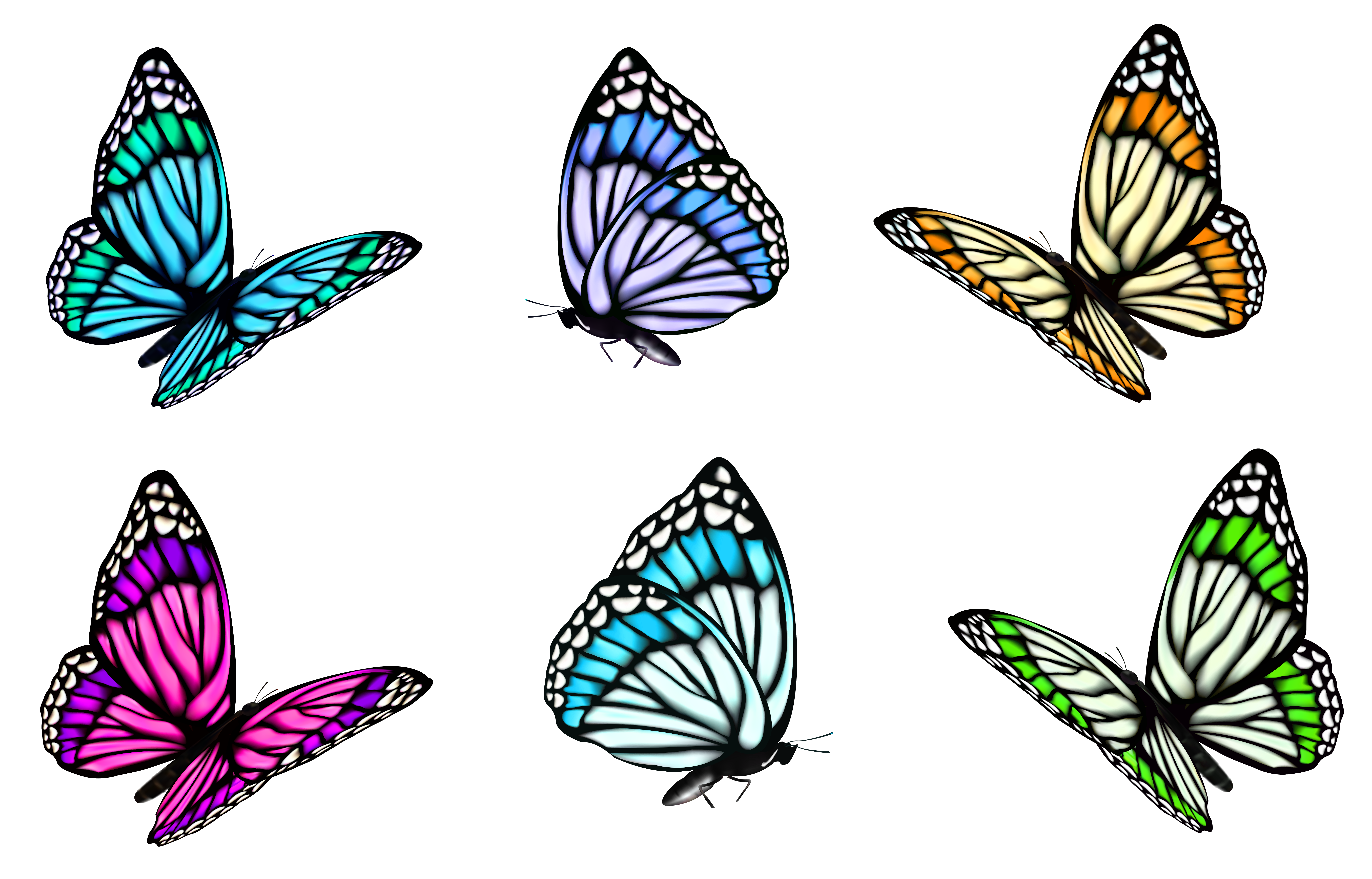 Full Color Decorative Butterfly Illustrations Clip Art