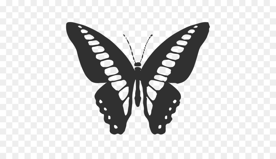 Monarch butterfly Vector graphics Illustration Silhouette - butterfly cartoon png svg vector png download - 512*512 - Free Transparent Butterfly png Download.