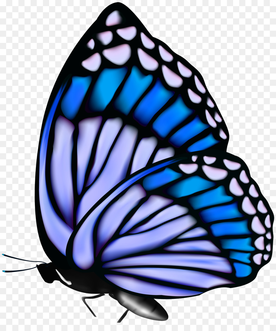 Monarch butterfly Clip art - butterflies float png download - 4245*5000 - Free Transparent Monarch Butterfly png Download.