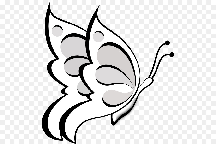 Butterfly Papillon dog Free content Clip art - Butterfly Outlines png download - 552*599 - Free Transparent Butterfly png Download.