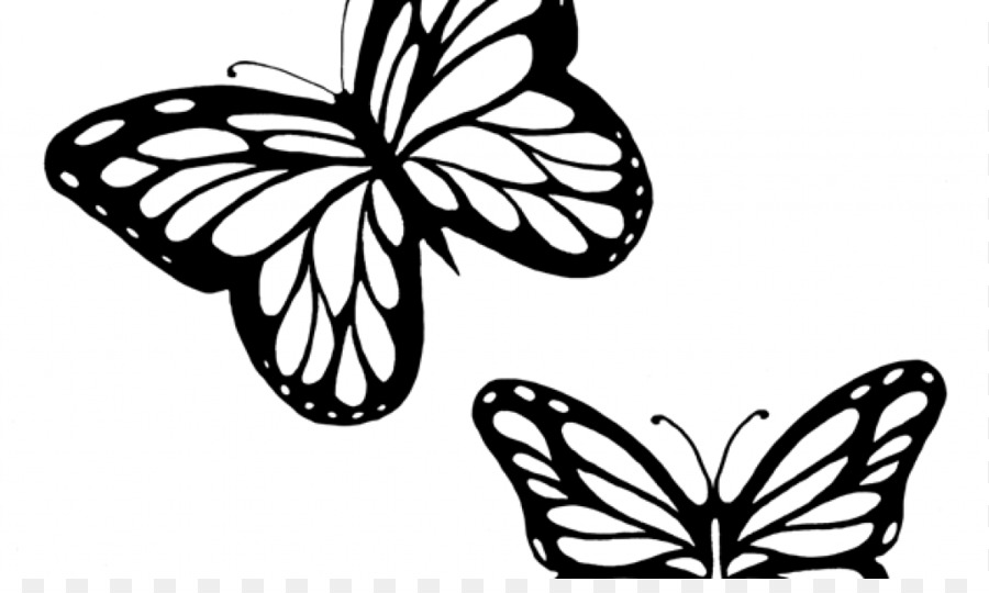 Monarch butterfly Outline Drawing Clip art - Butterflies Black And White Outline png download - 1024*600 - Free Transparent Butterfly png Download.