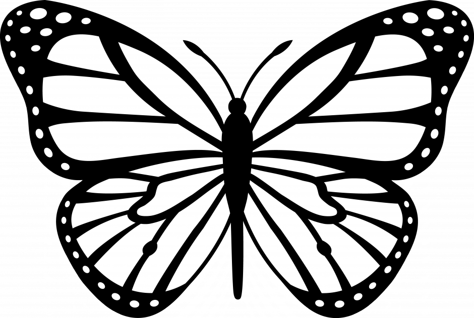 Monarch butterfly Outline Clip art - Cartoon Monarch Butterfly png download  - 940*632 - Free Transparent Butterfly png Download. - Clip Art Library