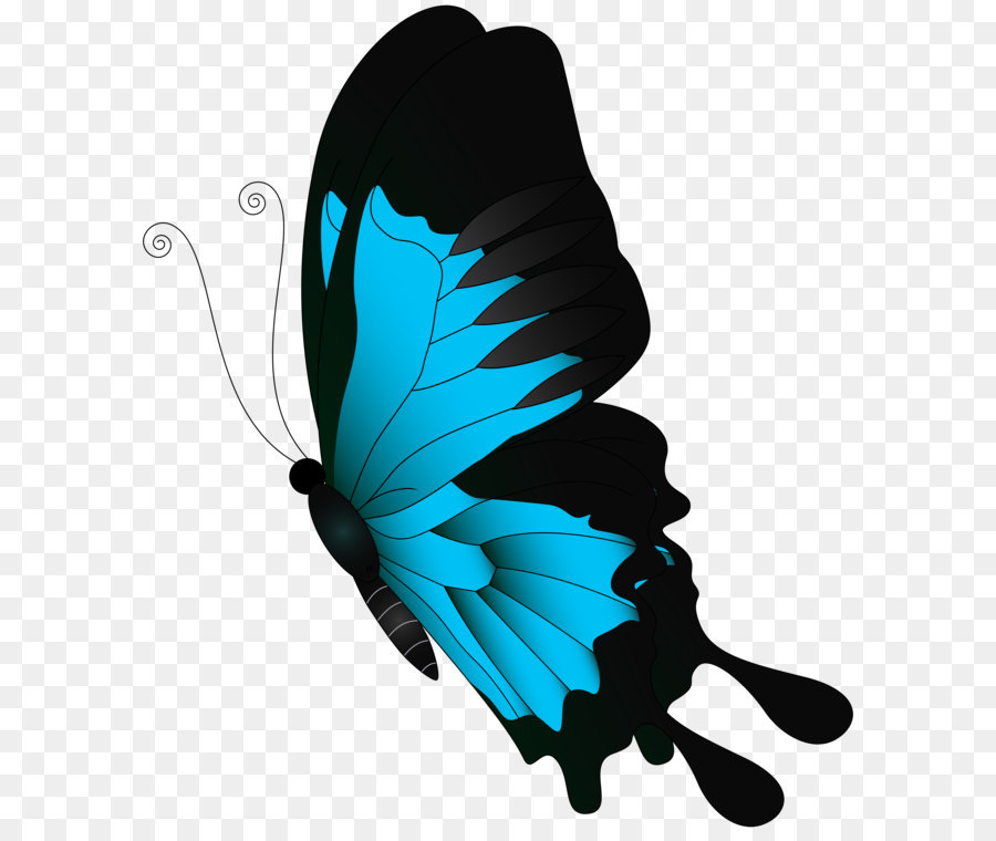 Butterfly Clip art - Blue Flying Butterfly PNG Clip Art png download - 4323*5000 - Free Transparent Butterfly png Download.