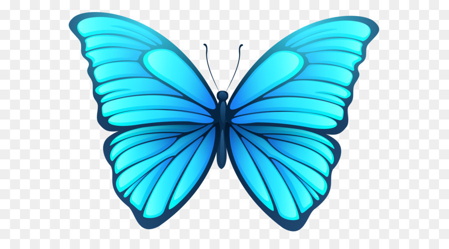 Butterfly Clip art - Butterfly PNG Image png download - 5814*4304 - Free Transparent Butterfly png Download.