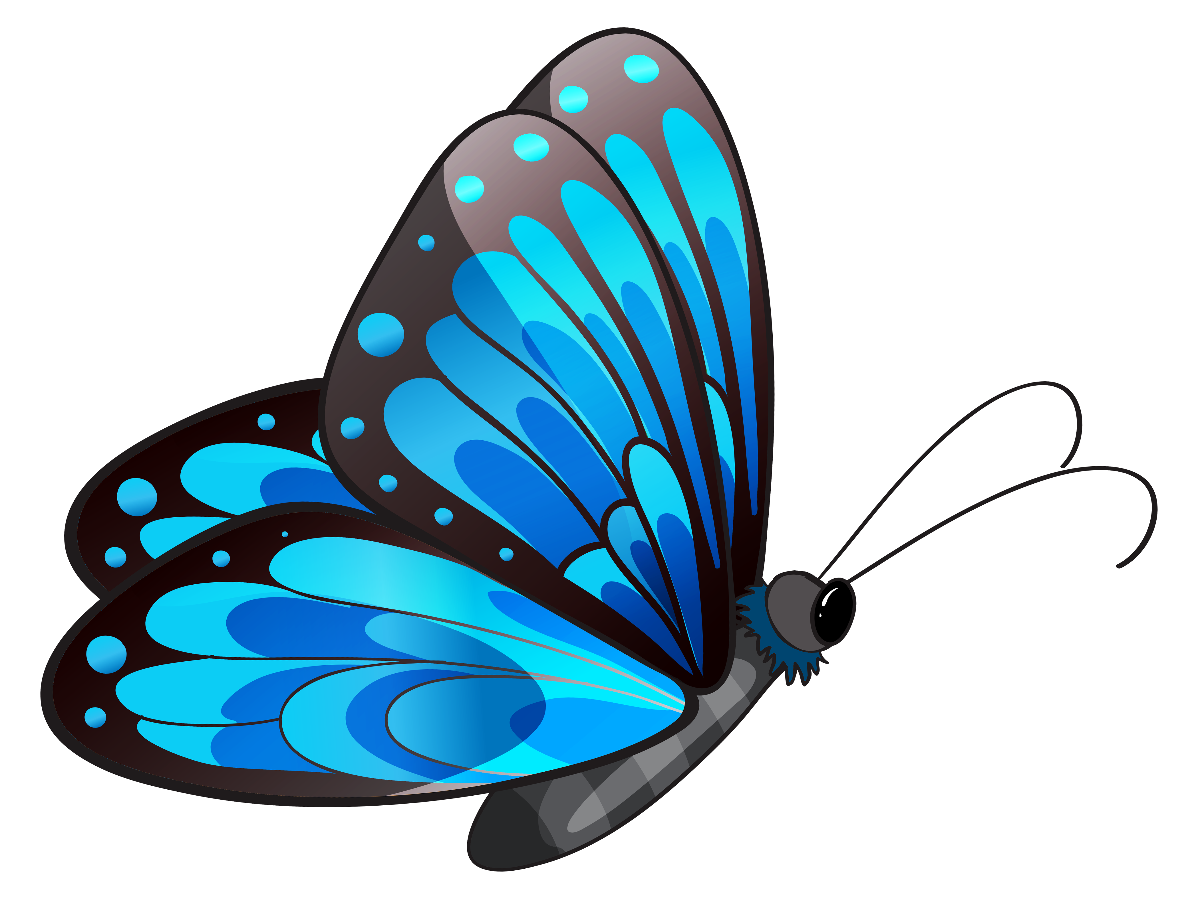 Butterfly Clip Art Transparent Blue Butterfly Png Clipart Png Download 4155 3205 Free Transparent Butterfly Png Download Clip Art Library