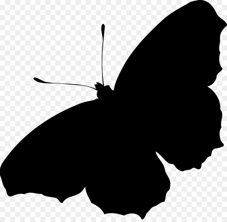 Butterfly Silhouette Clip art - peacock png download - 1000*967 - Free Transparent Butterfly png Download.