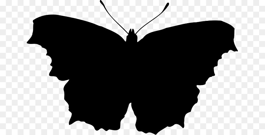 Butterfly Silhouette Clip art - butterfly png download - 717*459 - Free Transparent Butterfly png Download.