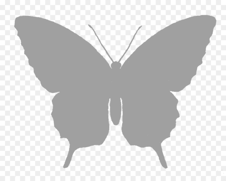 Butterfly Silhouette Black and white Clip art - gray png download - 1600*1274 - Free Transparent Butterfly png Download.