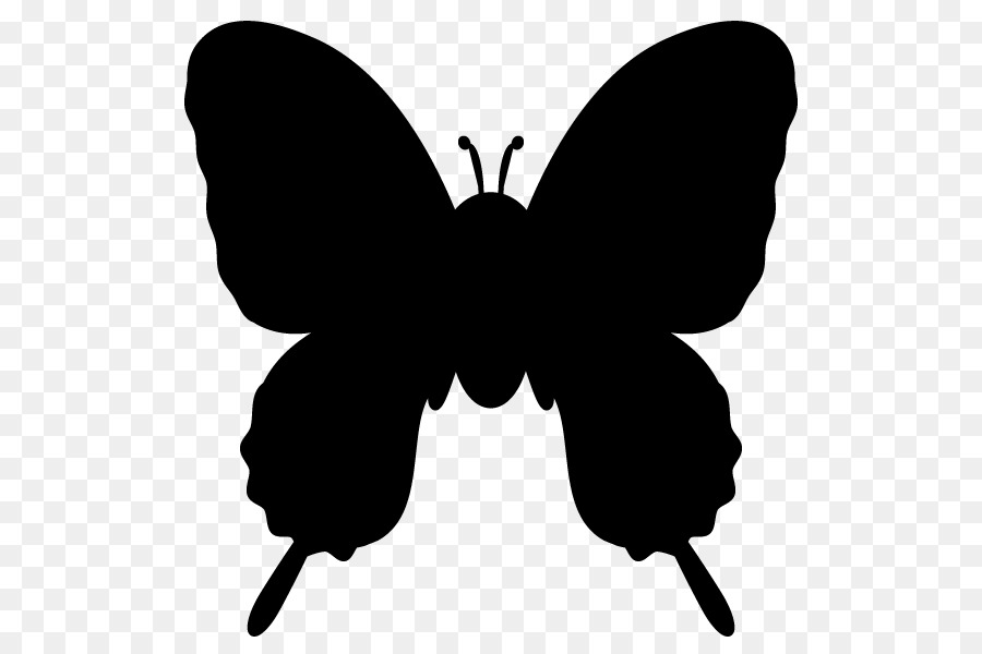Butterfly Silhouette Clip art - butterfly png download - 600*600 - Free Transparent Butterfly png Download.