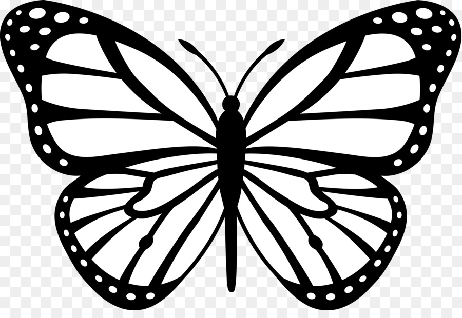 Monarch butterfly Insect Outline Clip art - Black And White Drawings Of Animals png download - 5920*3982 - Free Transparent Butterfly png Download.