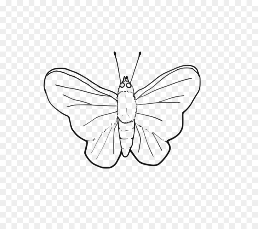 Butterfly Line art Black and white Clip art - Butterfly Pictures Black And White png download - 800*800 - Free Transparent Butterfly png Download.