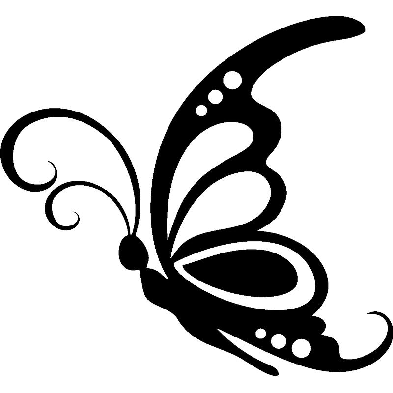 Butterfly Silhouette Stencil Clip art - butterfly png download - 800*