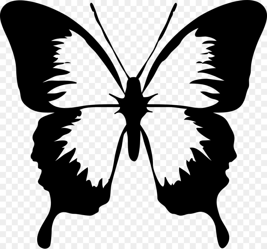 Clip art Vector graphics Butterfly Free content Image -  png download - 2555*2381 - Free Transparent Butterfly png Download.