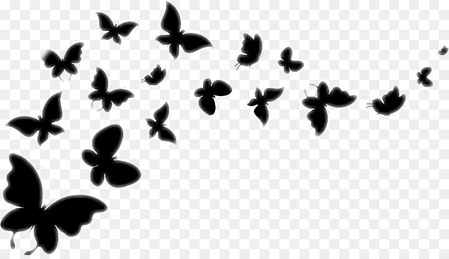 Butterfly Vector graphics Clip art Image - butterfly png download - 898*512 - Free Transparent Butterfly png Download.