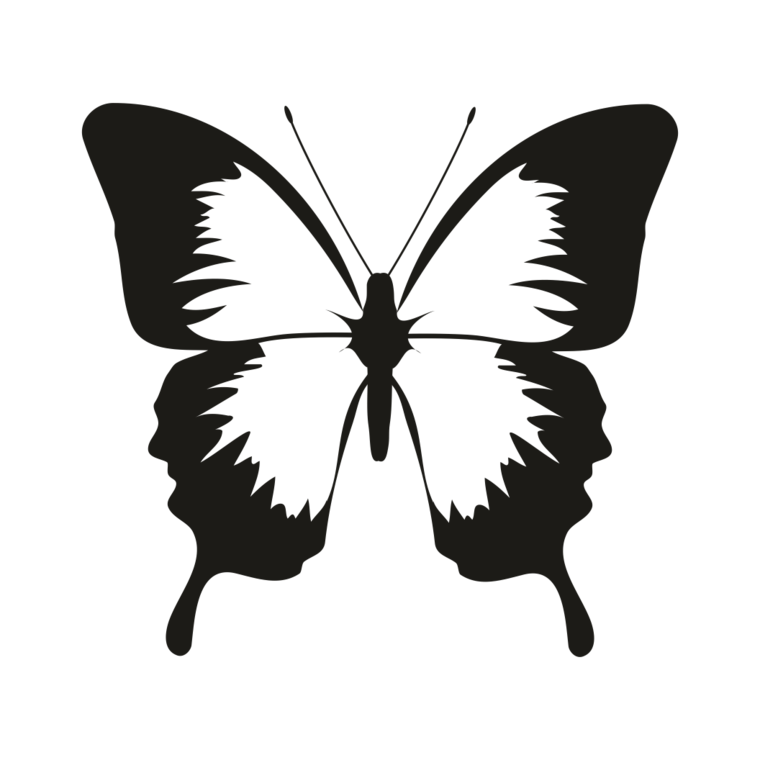 Butterfly Silhouette Vector graphics Clip art Insect - animal rubber