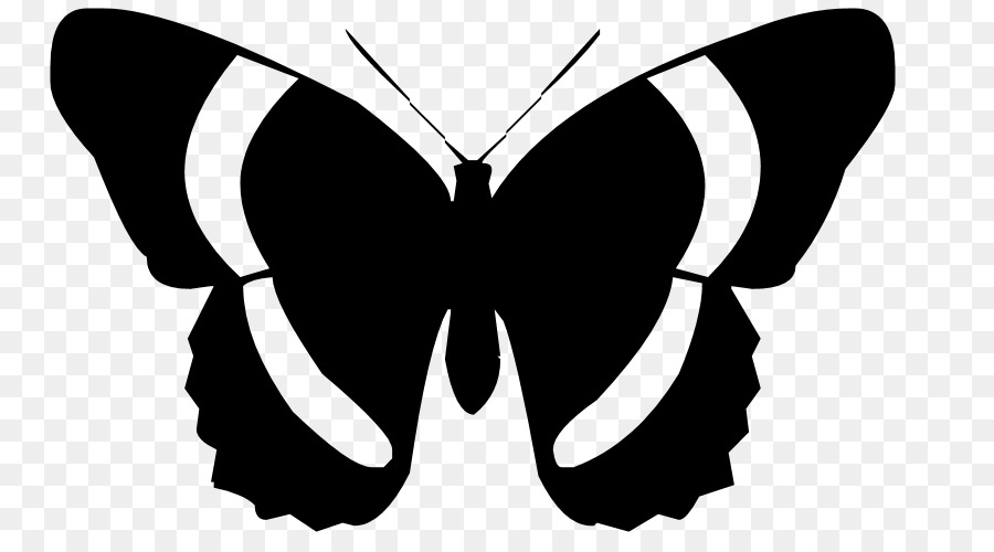 Butterfly Vector graphics Clip art Silhouette - png download - 2400*