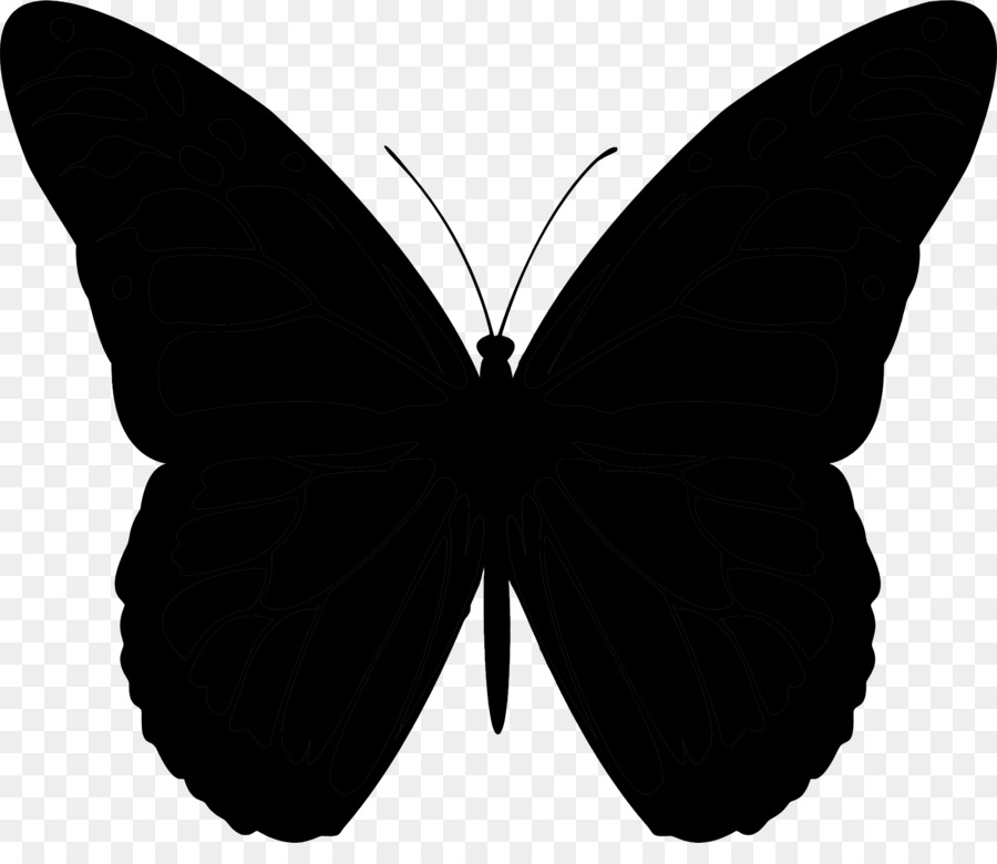 Butterfly Vector graphics Clip art Silhouette -  png download - 2400*2028 - Free Transparent Butterfly png Download.