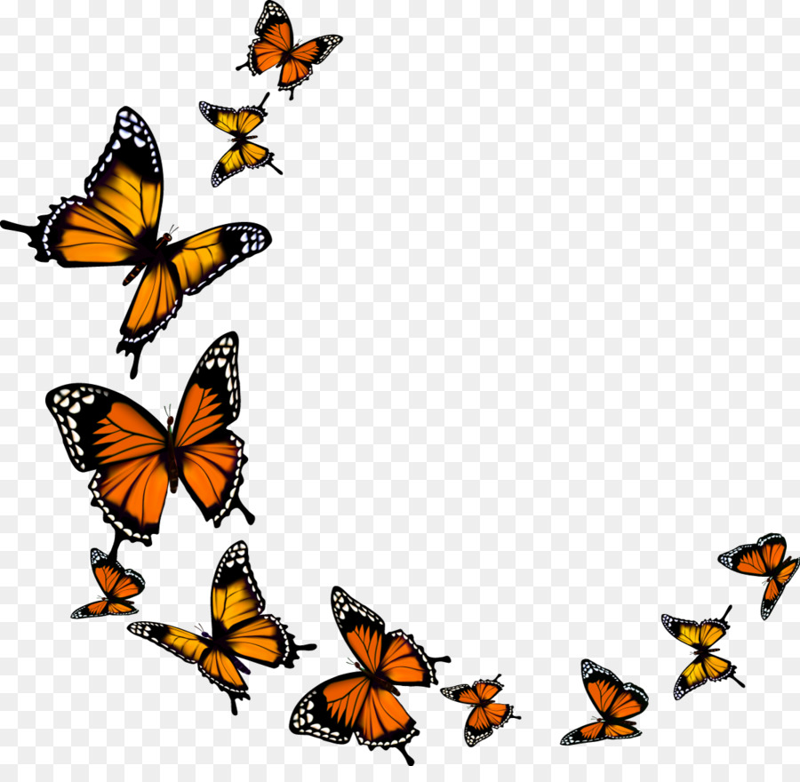 Monarch butterfly - butterfly png download - 1200*1149 - Free Transparent Butterfly png Download.