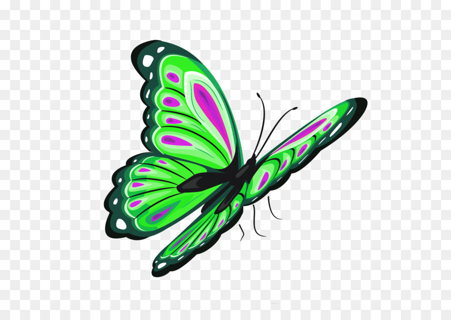 Butterfly Clip art - Green and Pink Butterfly PNG Clipart Picture png download - 3804*3632 - Free Transparent Butterfly png Download.