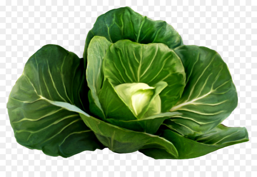 Red cabbage Cauliflower Clip art - Cabbage png download - 1901*1291 - Free Transparent Cabbage png Download.