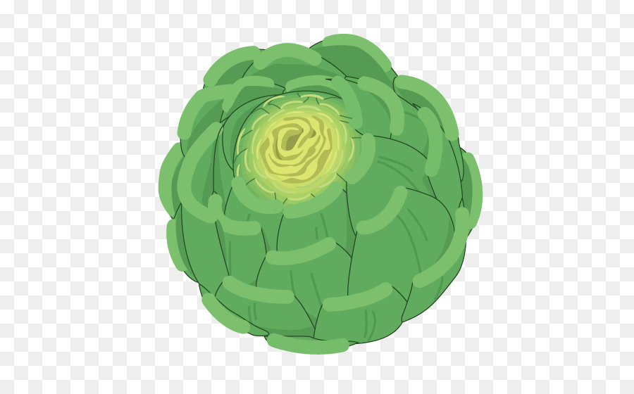 Cabbage Clip art - Vector cabbage png download - 800*555 - Free Transparent Cabbage png Download.