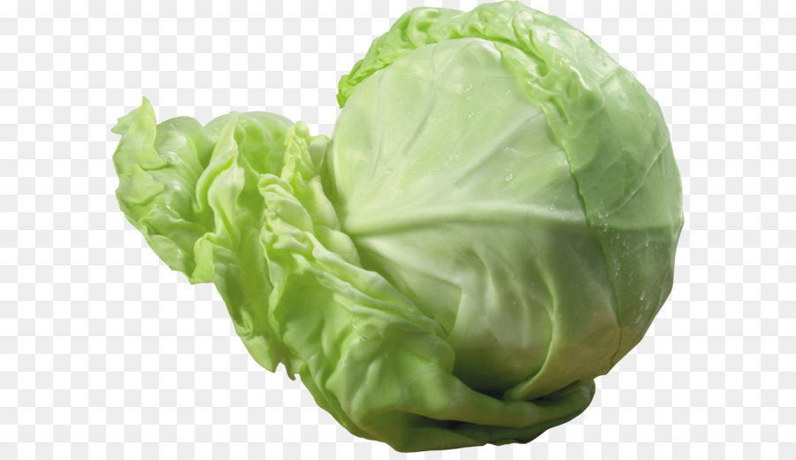 Red cabbage Cauliflower Vegetable - Cabbage PNG image png download - 2995*2361 - Free Transparent Cabbage png Download.