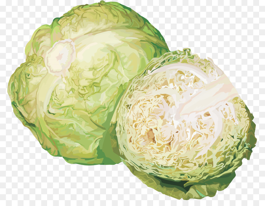 Cabbage Portable Network Graphics Transparency Leaf vegetable - cabbage png download - 850*683 - Free Transparent Cabbage png Download.