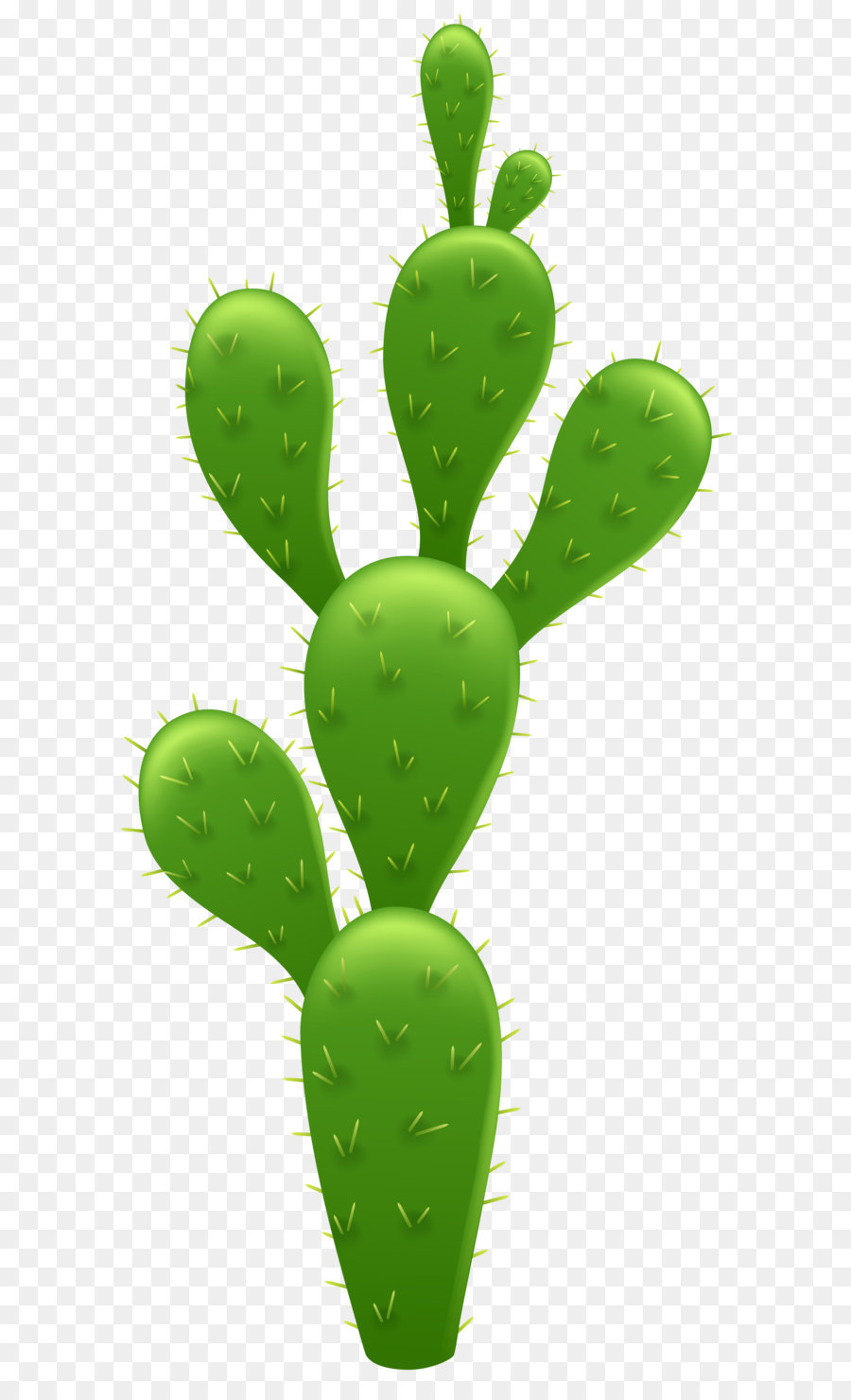 Cactaceae Saguaro Clip art - Cactus Transparent PNG Clip Art Image png download - 3558*8000 - Free Transparent Cactaceae png Download.