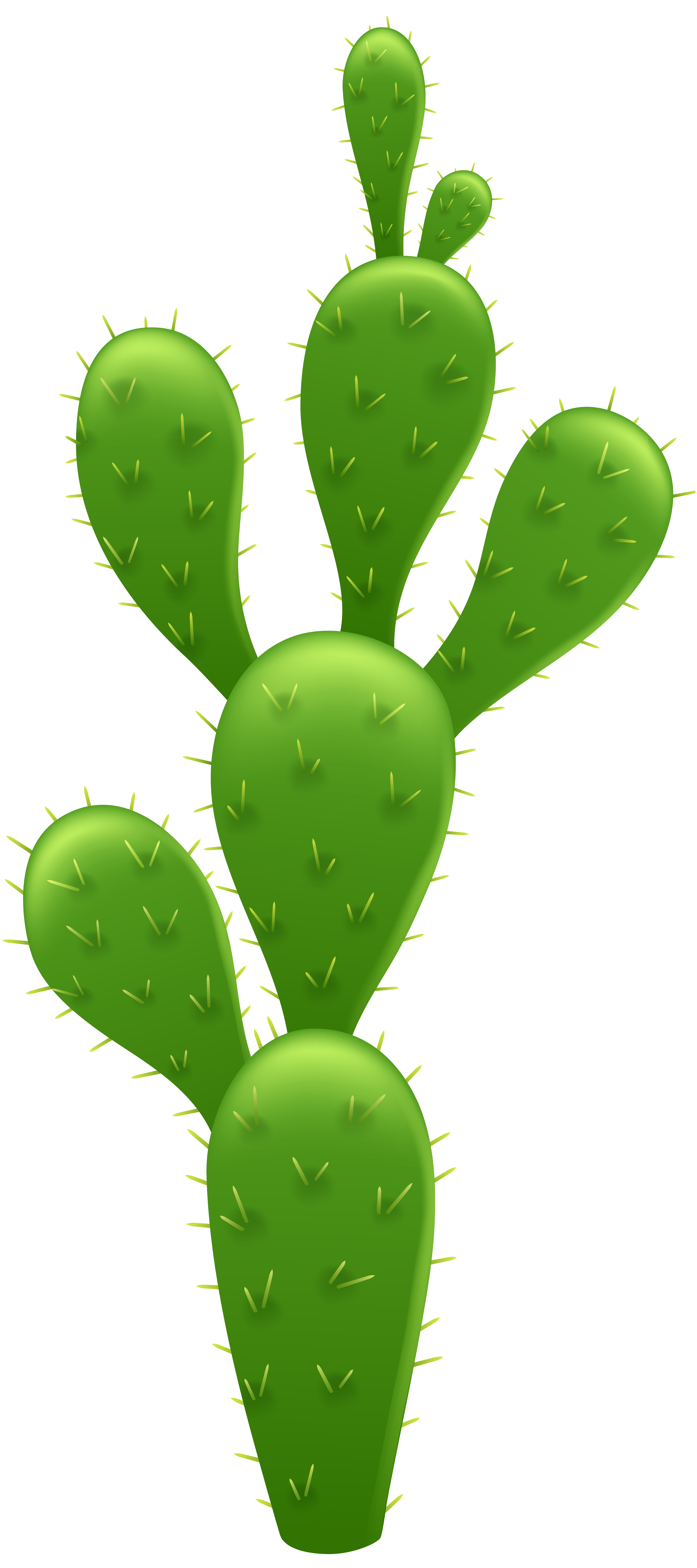 Cactaceae Saguaro Clip Art Cactus Transparent Png Cli