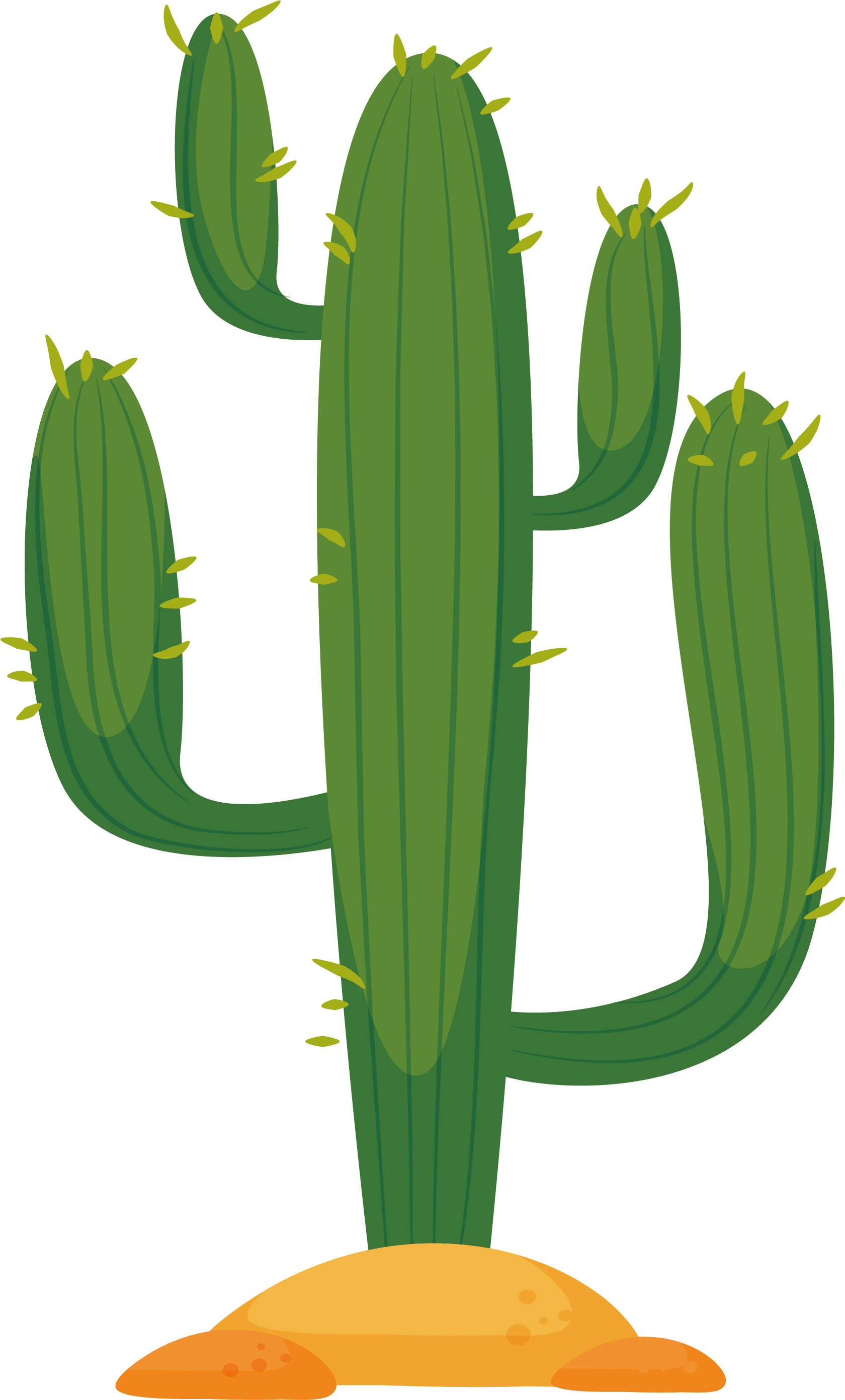 Cactaceae Cactus in the desert Euclidean vector - Desert cactus png