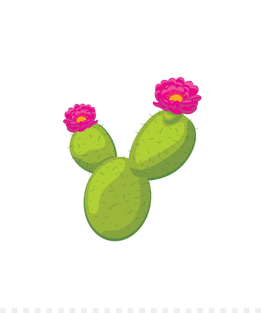 Cactaceae Flowering plant Clip art - cactus png download - 2433*2876 - Free Transparent Cactaceae png Download.