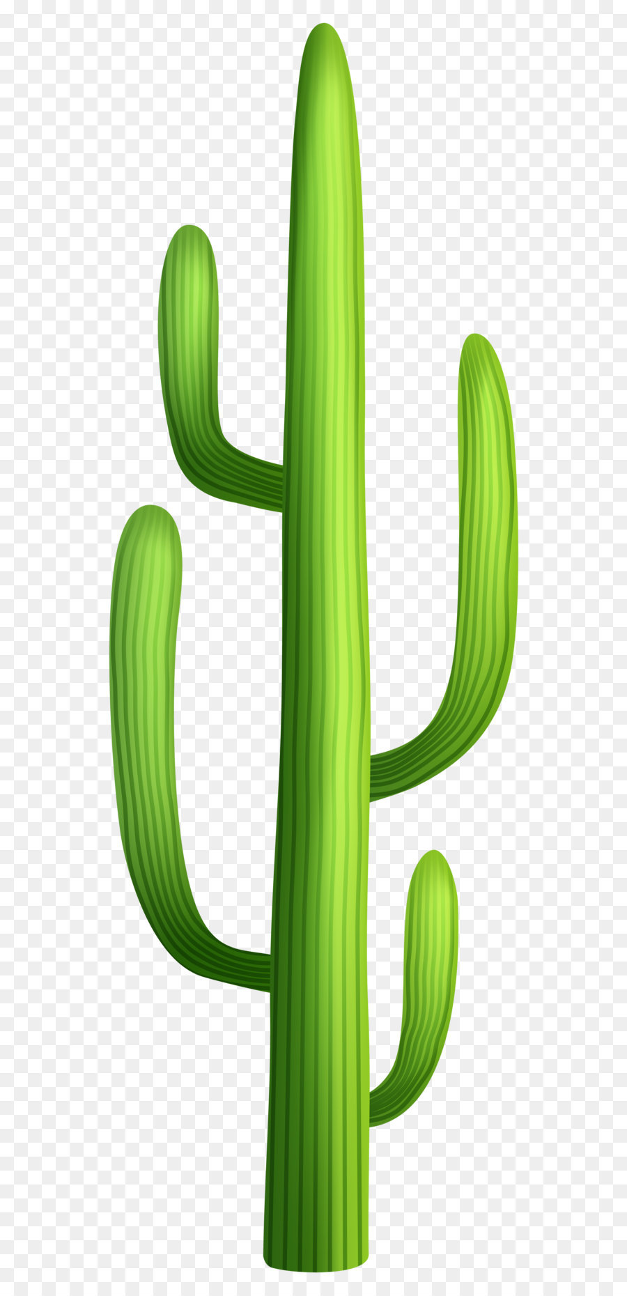 Desert Clip art - Desert Cactus Transparent PNG Clip Art Image png download - 2821*8000 - Free Transparent Cactaceae png Download.