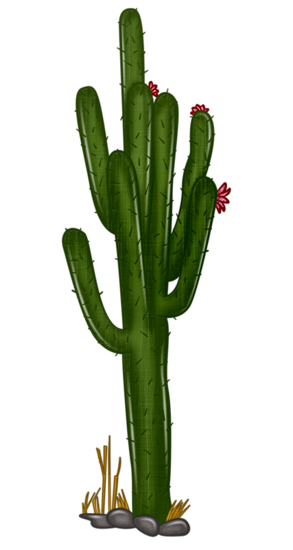 Desert Cactus Transparent Png Clip Art Image Gallery Yopriceville
