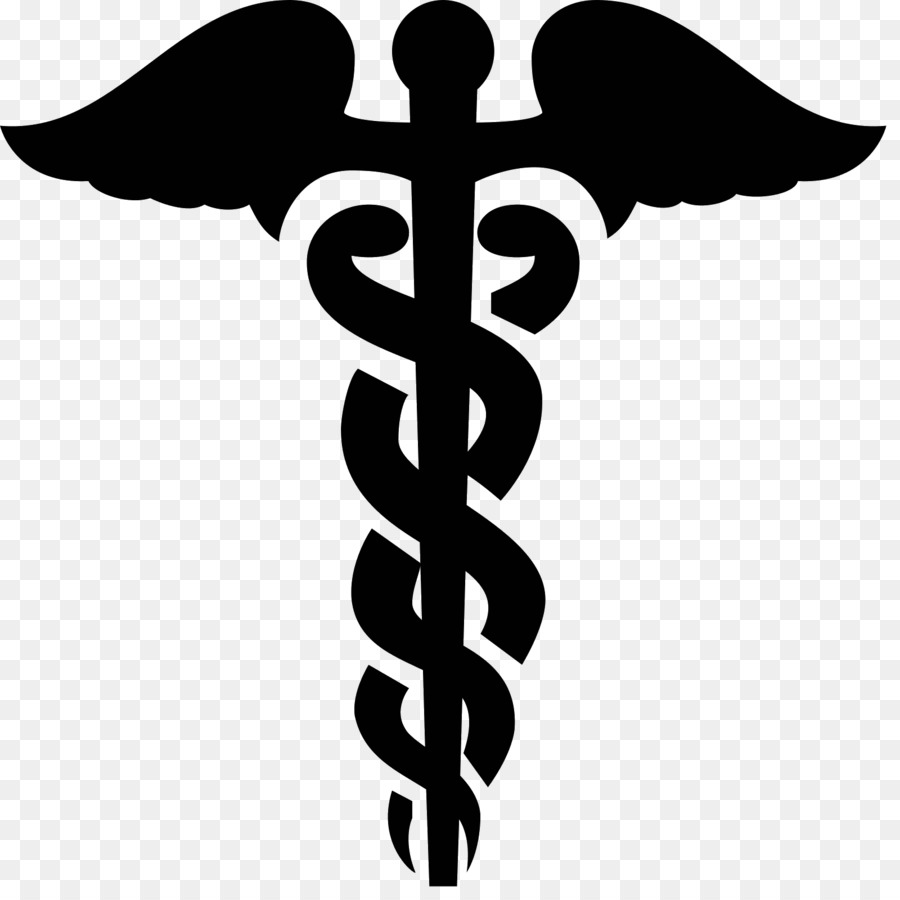 Staff of Hermes Caduceus as a symbol of medicine Rod of Asclepius - symbol png download - 1600*1600 - Free Transparent Staff Of Hermes png Download.